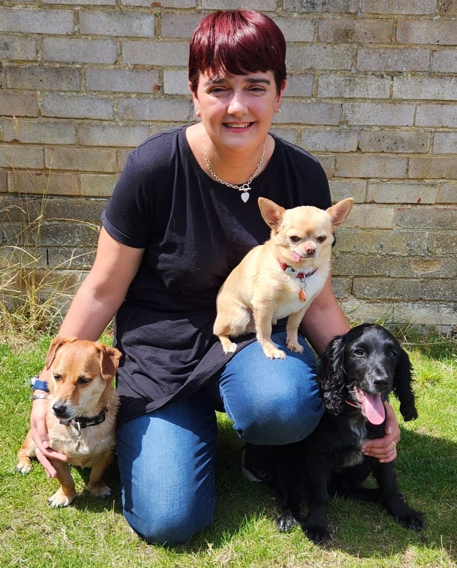 81b807e4-47c1-4ef2-9b94-6d662ef2f755