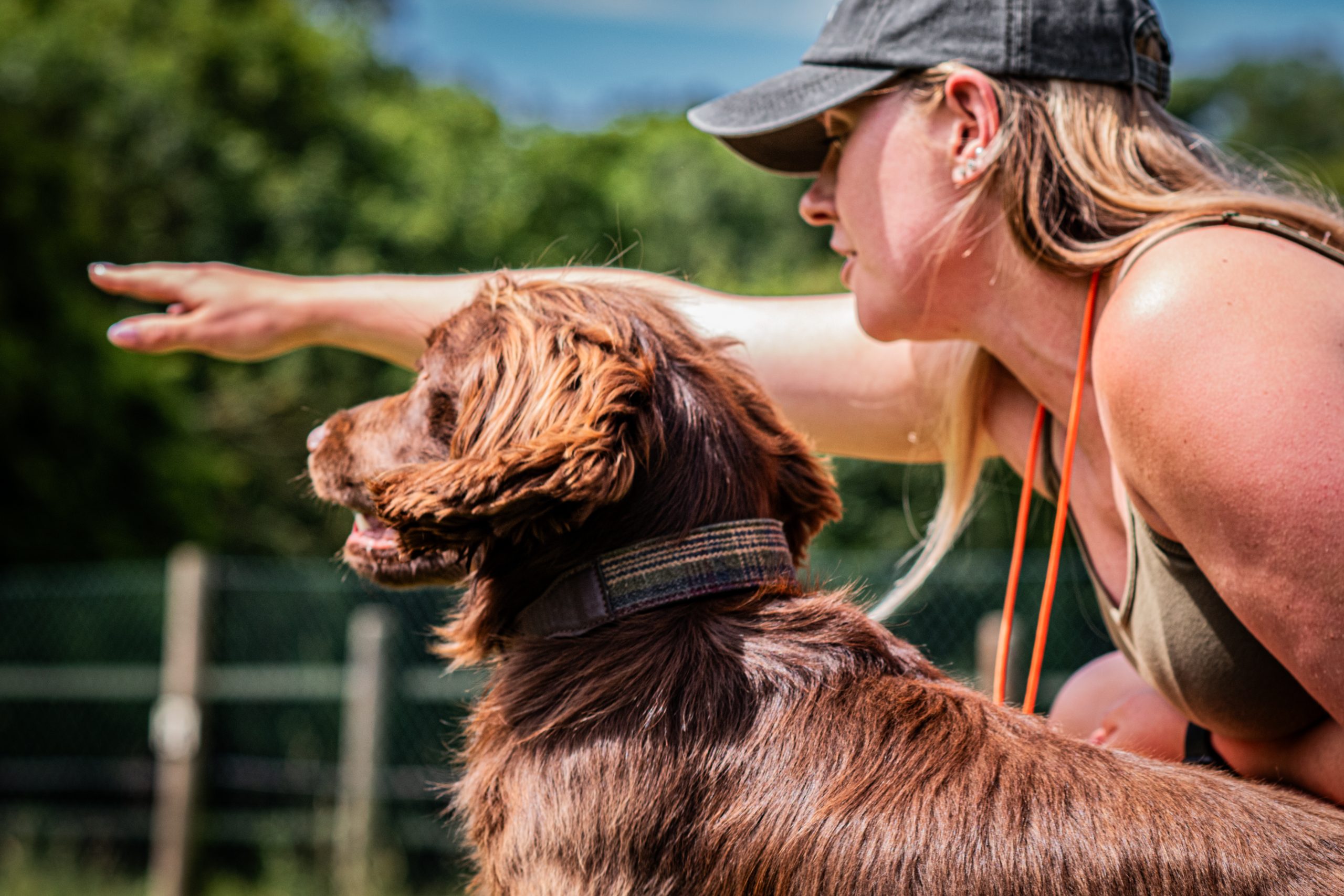 dog training classes cambridge