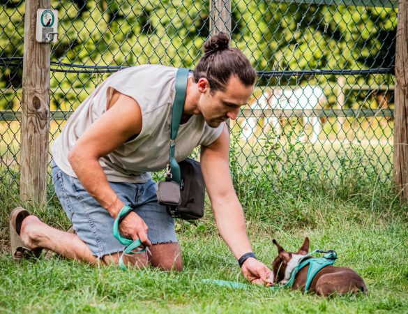 puppy socialisation classes cambridge