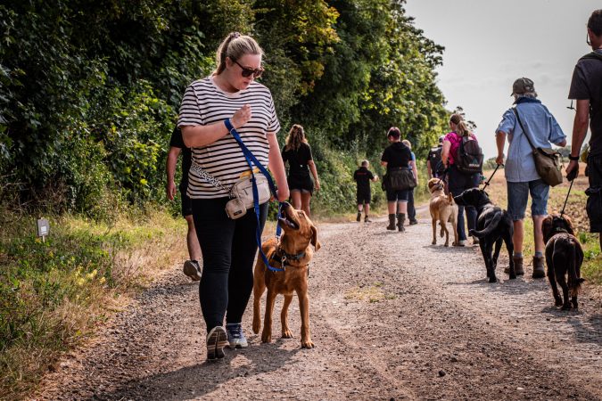 dog training classes cambridge