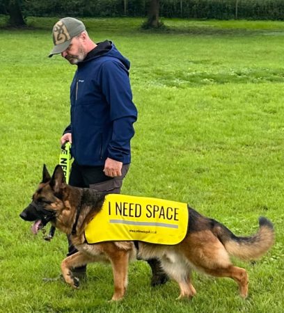 dog training classes cambridge