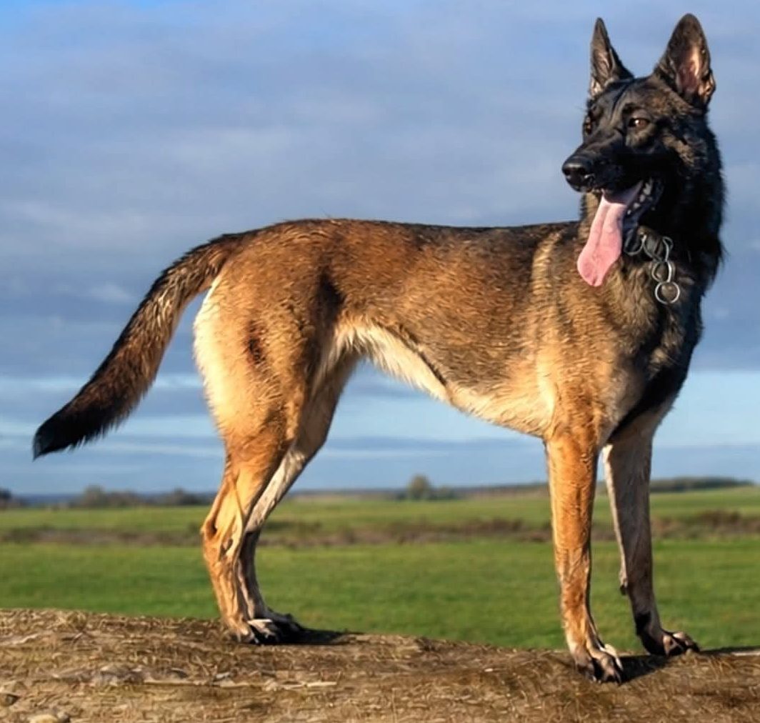 FB_IMG_1770724022168