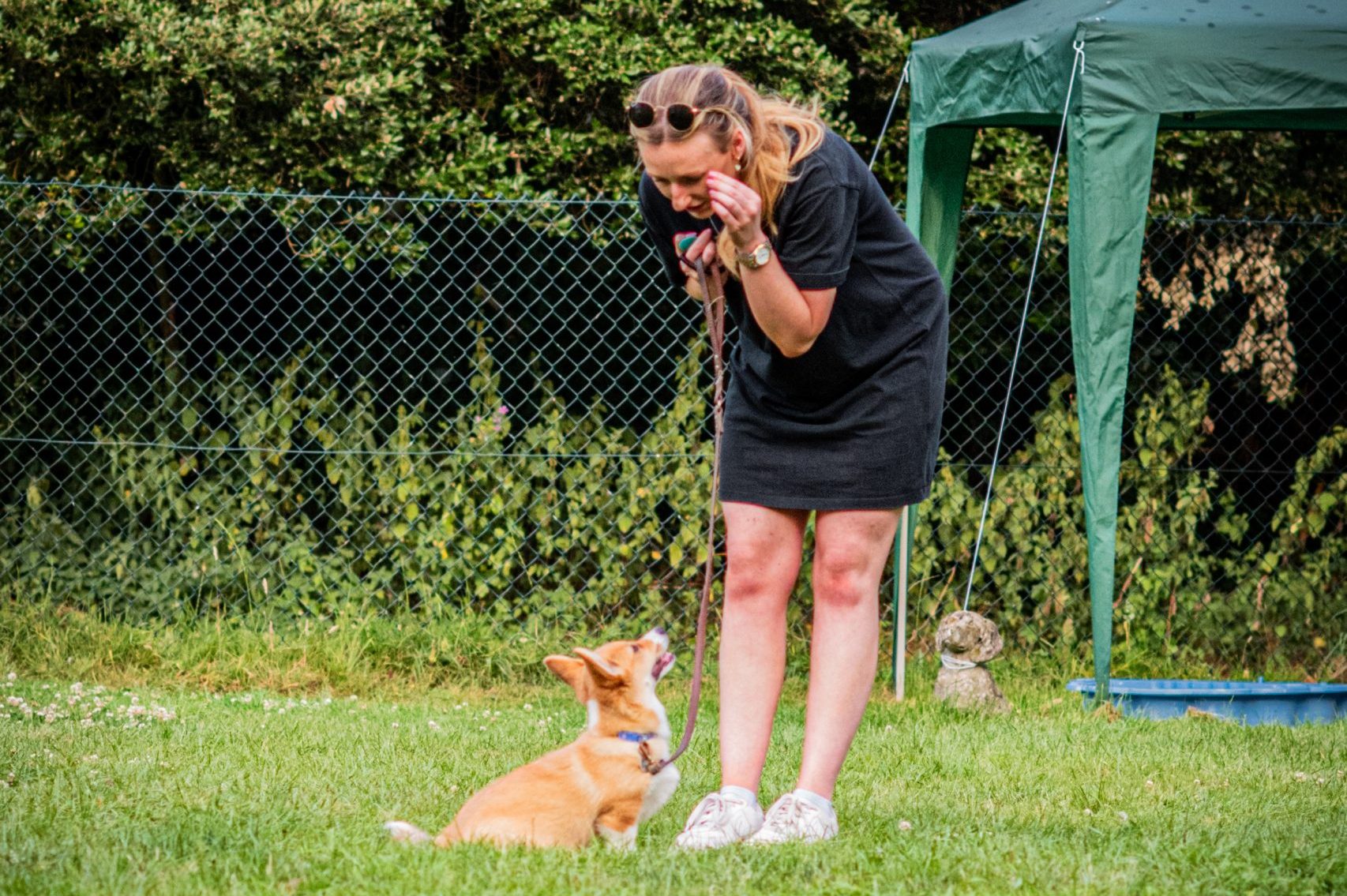 DSC_0582 puppy socialisation classes cambridge